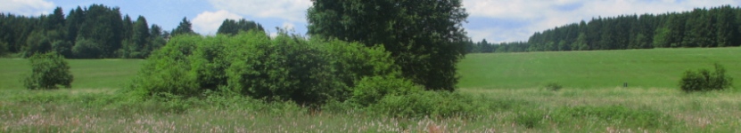 Landschaft