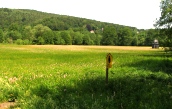 Hammerwiese