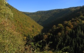 Schwarzatal