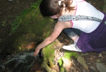 am Wasser