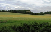 NSG Buchenberg