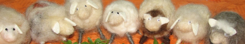 Filzkurs