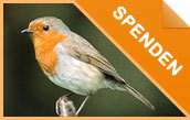 Online spenden