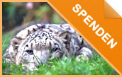 Online spenden Online spenden